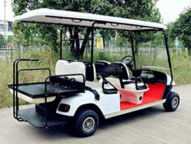 DMF White Golf Cart - 4 passenger extended roof with fold down seats (+2 passenger)&nbsp; and stock tires and rims.