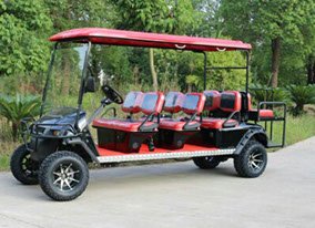 DMF Black Golf Cat - 6 passenger with fold down seats (+2 passenger), two tone seat color,&nbsp; and 12" rims.