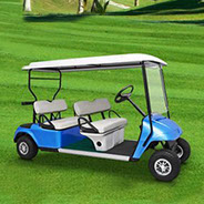DMF Blue Multi Passenger (4) Golf Cart