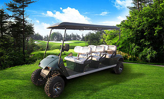 DMF Dark Green Multi Passenger (6) Golf Cart with off road 12" rims and tires.